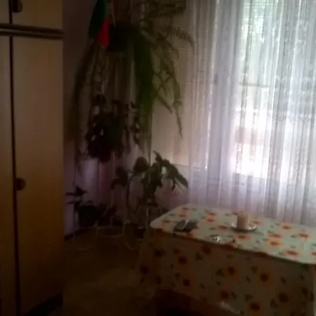 Borisovi Tsarevo